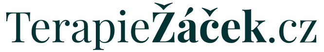 Terapie Pavel Žáček